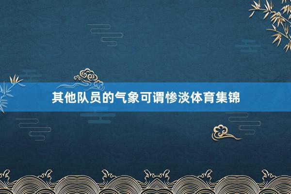其他队员的气象可谓惨淡体育集锦