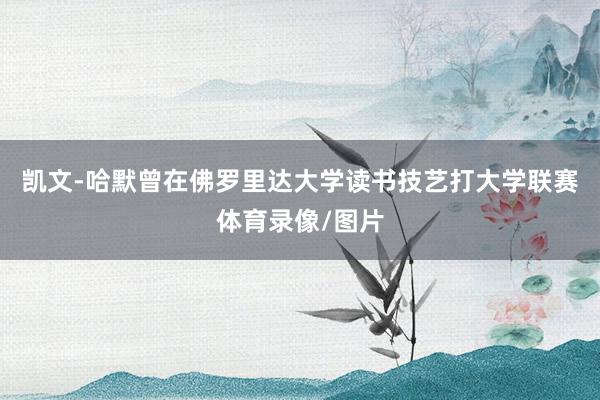 凯文-哈默曾在佛罗里达大学读书技艺打大学联赛体育录像/图片