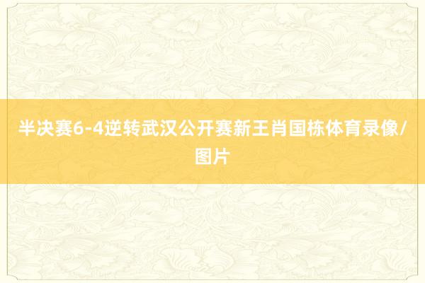 半决赛6-4逆转武汉公开赛新王肖国栋体育录像/图片