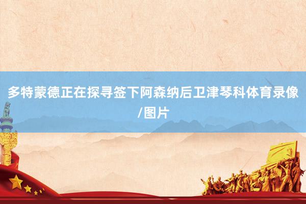 多特蒙德正在探寻签下阿森纳后卫津琴科体育录像/图片