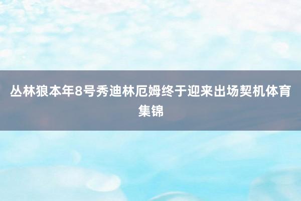 丛林狼本年8号秀迪林厄姆终于迎来出场契机体育集锦
