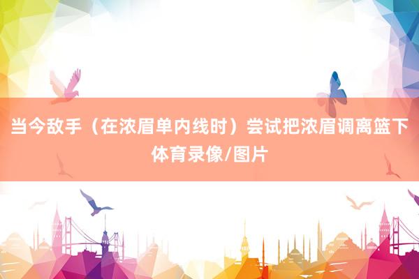 当今敌手（在浓眉单内线时）尝试把浓眉调离篮下体育录像/图片