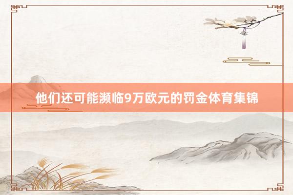 他们还可能濒临9万欧元的罚金体育集锦