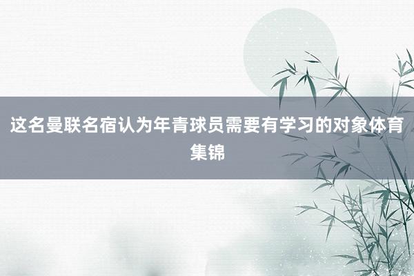 这名曼联名宿认为年青球员需要有学习的对象体育集锦
