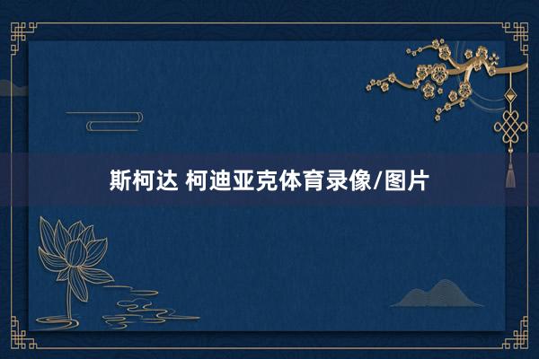 斯柯达 柯迪亚克体育录像/图片