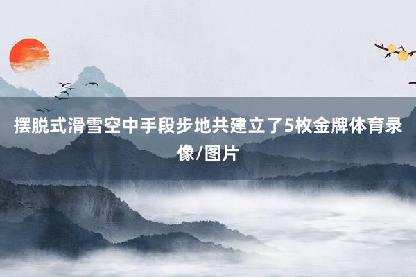 摆脱式滑雪空中手段步地共建立了5枚金牌体育录像/图片