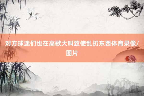 对方球迷们也在高歌大叫致使乱扔东西体育录像/图片