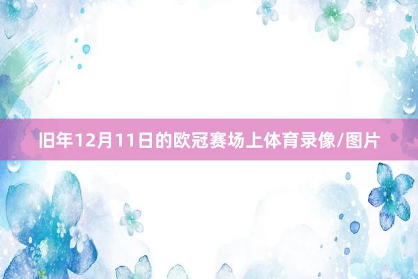 旧年12月11日的欧冠赛场上体育录像/图片