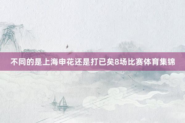 不同的是上海申花还是打已矣8场比赛体育集锦