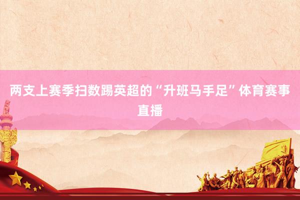 两支上赛季扫数踢英超的“升班马手足”体育赛事直播