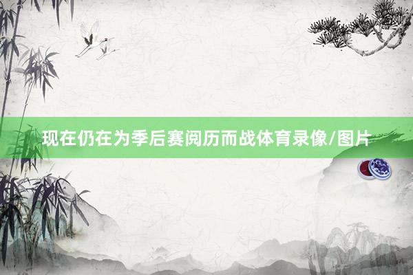 现在仍在为季后赛阅历而战体育录像/图片