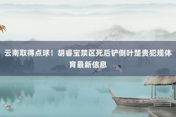 云南取得点球!胡睿宝禁区死后铲倒叶楚贵犯规体育最新信息