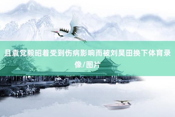 且袁党毅昭着受到伤病影响而被刘昊田换下体育录像/图片