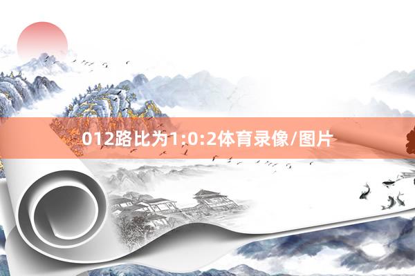 012路比为1:0:2体育录像/图片