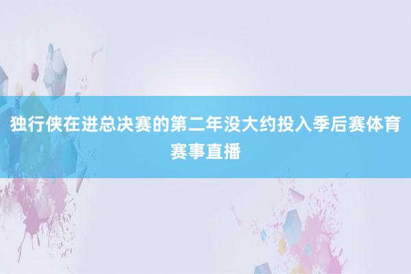 独行侠在进总决赛的第二年没大约投入季后赛体育赛事直播