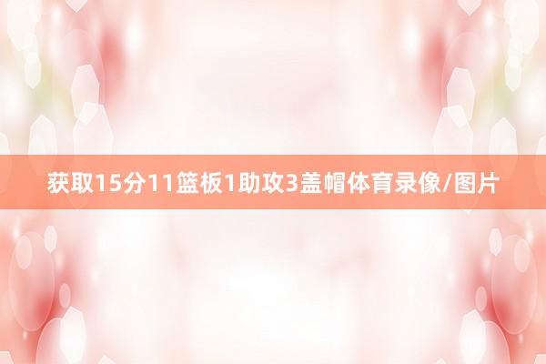 获取15分11篮板1助攻3盖帽体育录像/图片