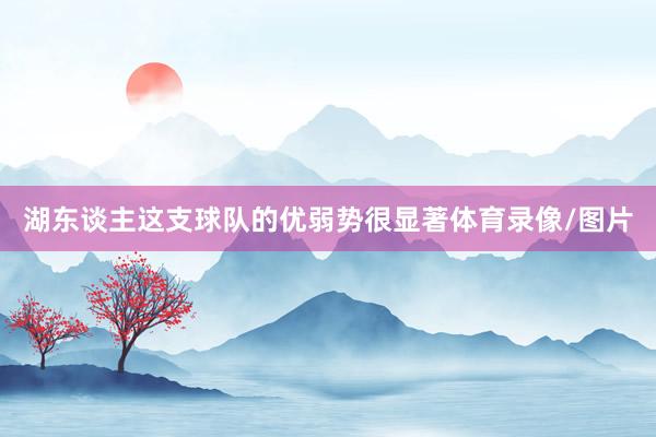 湖东谈主这支球队的优弱势很显著体育录像/图片