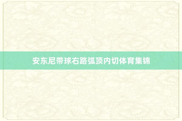 安东尼带球右路弧顶内切体育集锦