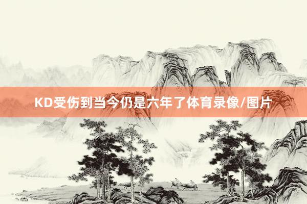 KD受伤到当今仍是六年了体育录像/图片