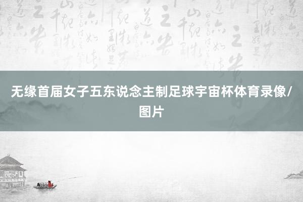 无缘首届女子五东说念主制足球宇宙杯体育录像/图片