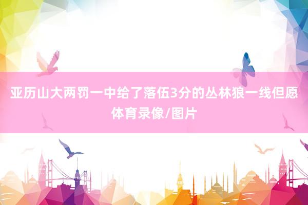 亚历山大两罚一中给了落伍3分的丛林狼一线但愿体育录像/图片