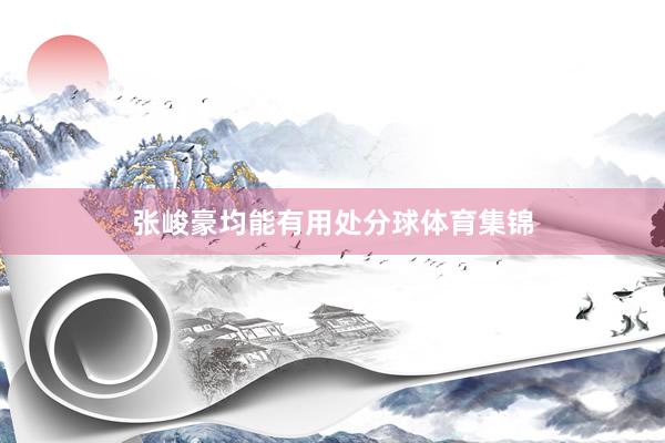 张峻豪均能有用处分球体育集锦