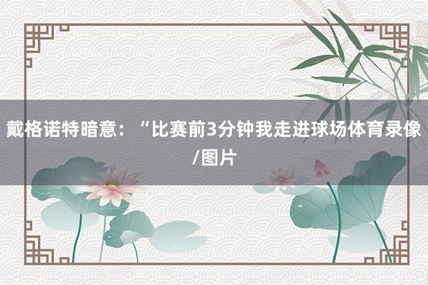 戴格诺特暗意：“比赛前3分钟我走进球场体育录像/图片