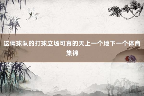 这俩球队的打球立场可真的天上一个地下一个体育集锦