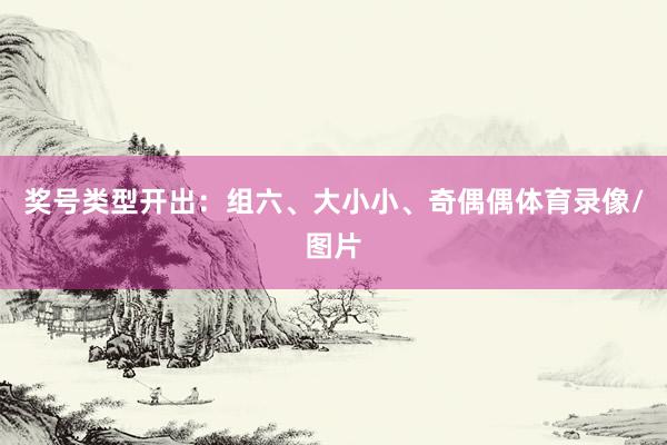 奖号类型开出:组六、大小小、奇偶偶体育录像/图片
