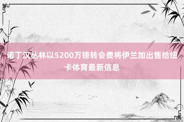 诺丁汉丛林以5200万镑转会费将伊兰加出售给纽卡体育最新信息