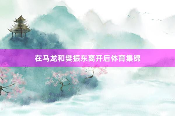 在马龙和樊振东离开后体育集锦