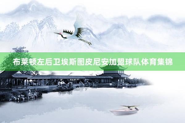 布莱顿左后卫埃斯图皮尼安加盟球队体育集锦