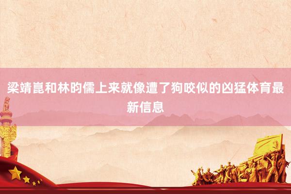 梁靖崑和林昀儒上来就像遭了狗咬似的凶猛体育最新信息