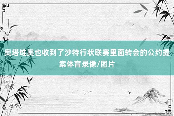奥塔维奥也收到了沙特行状联赛里面转会的公约提案体育录像/图片