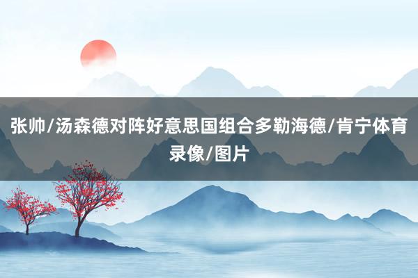 张帅/汤森德对阵好意思国组合多勒海德/肯宁体育录像/图片