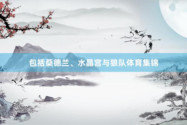 包括桑德兰、水晶宫与狼队体育集锦