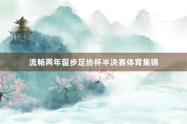 流畅两年留步足协杯半决赛体育集锦