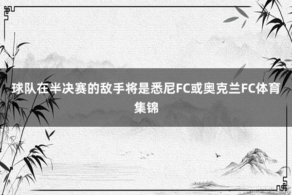球队在半决赛的敌手将是悉尼FC或奥克兰FC体育集锦