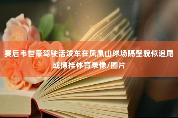 赛后韦世豪驾驶活泼车在凤凰山球场隔壁貌似追尾或擦挂体育录像/图片