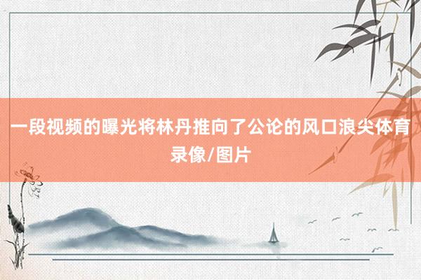 一段视频的曝光将林丹推向了公论的风口浪尖体育录像/图片