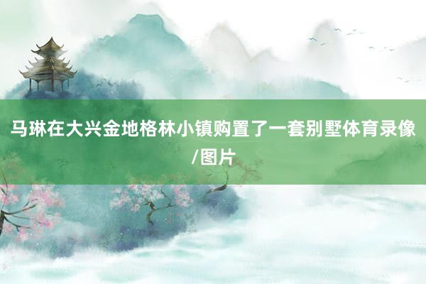 马琳在大兴金地格林小镇购置了一套别墅体育录像/图片