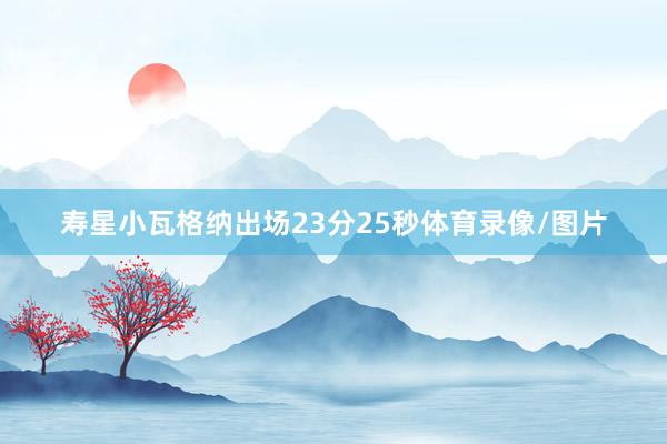 寿星小瓦格纳出场23分25秒体育录像/图片