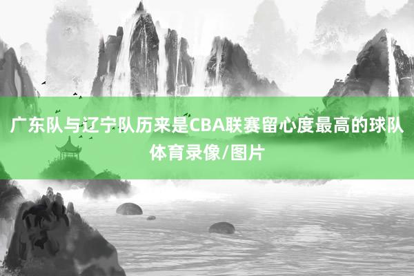 广东队与辽宁队历来是CBA联赛留心度最高的球队体育录像/图片