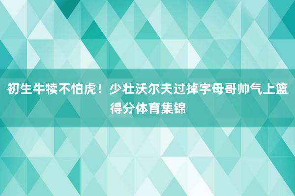 初生牛犊不怕虎！少壮沃尔夫过掉字母哥帅气上篮得分体育集锦