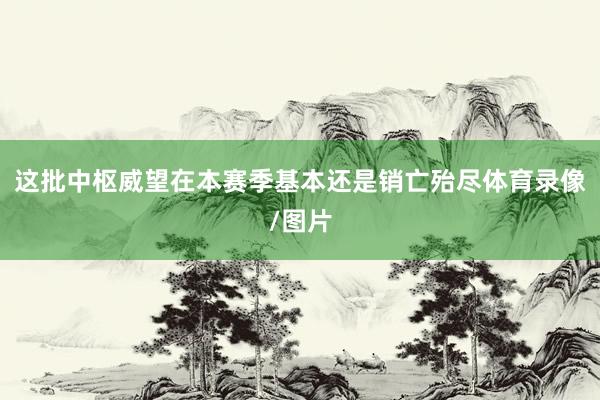 这批中枢威望在本赛季基本还是销亡殆尽体育录像/图片