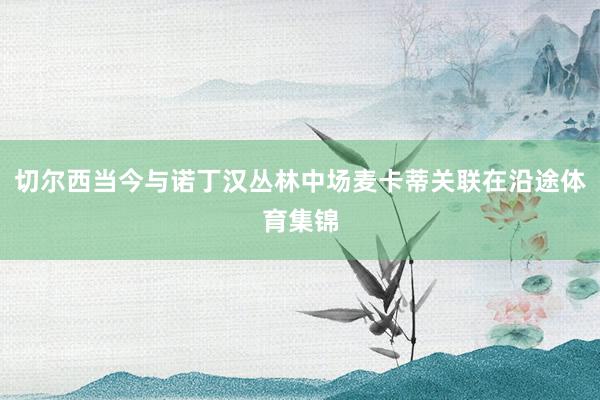 切尔西当今与诺丁汉丛林中场麦卡蒂关联在沿途体育集锦