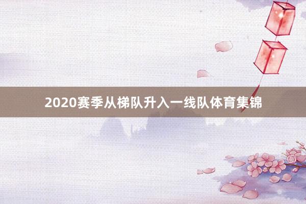 2020赛季从梯队升入一线队体育集锦