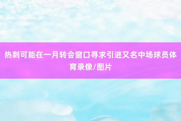 热刺可能在一月转会窗口寻求引进又名中场球员体育录像/图片