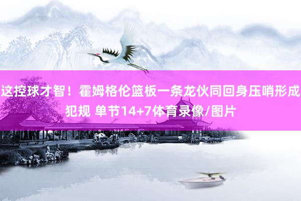 这控球才智！霍姆格伦篮板一条龙伙同回身压哨形成犯规 单节14+7体育录像/图片