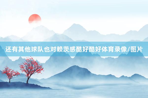 还有其他球队也对赖茨感酷好酷好体育录像/图片